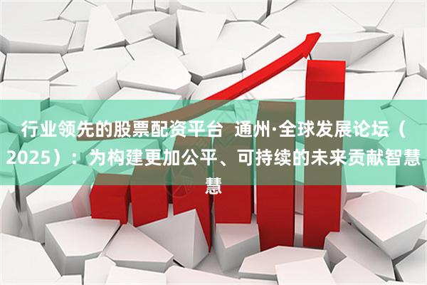 行业领先的股票配资平台  通州·全球发展论坛（2025）：为构建更加公平、可持续的未来贡献智慧